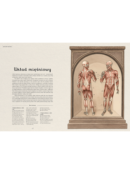 Anatomicum