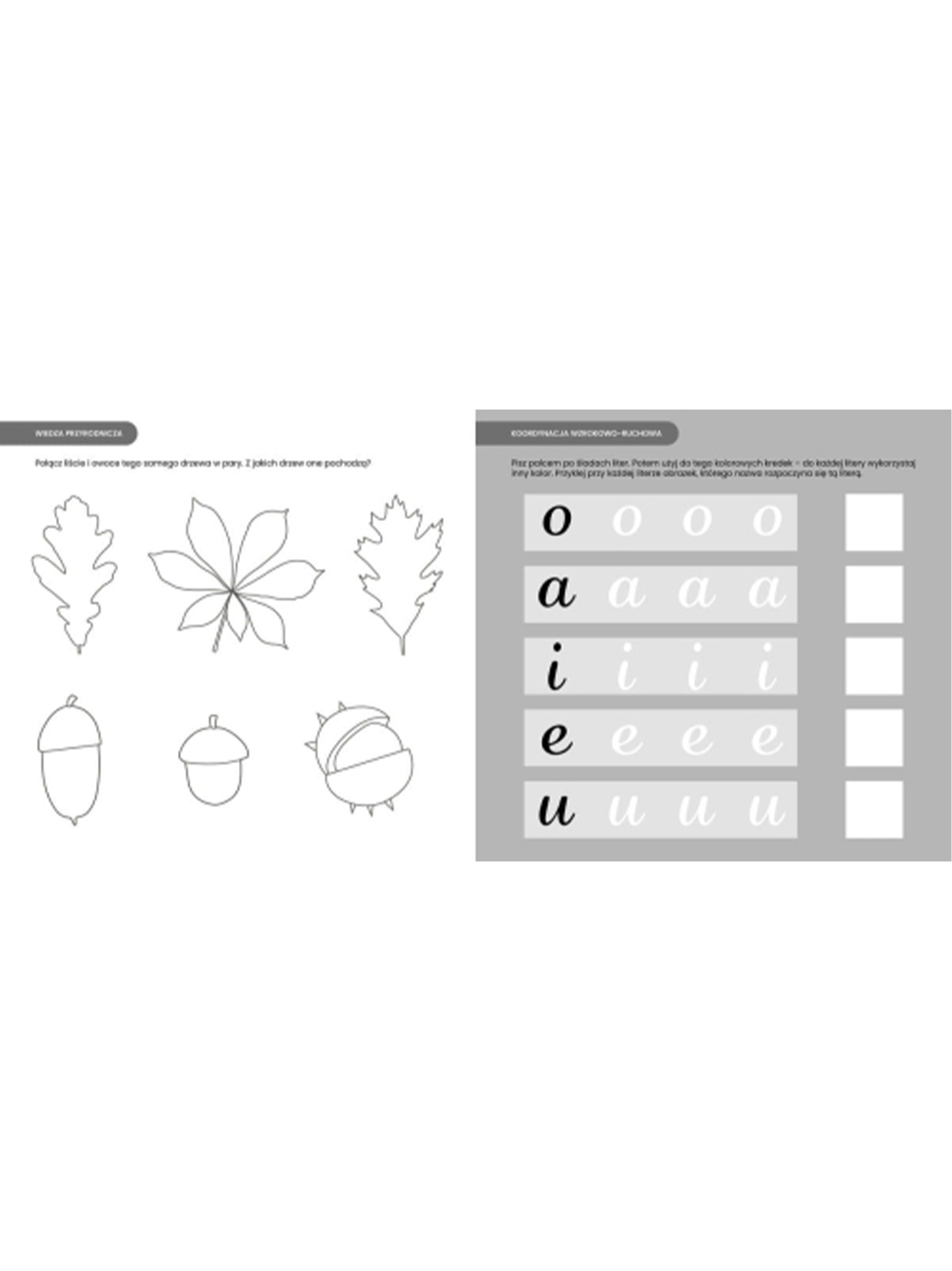 Montessori. Ćwiczenia czterolatka