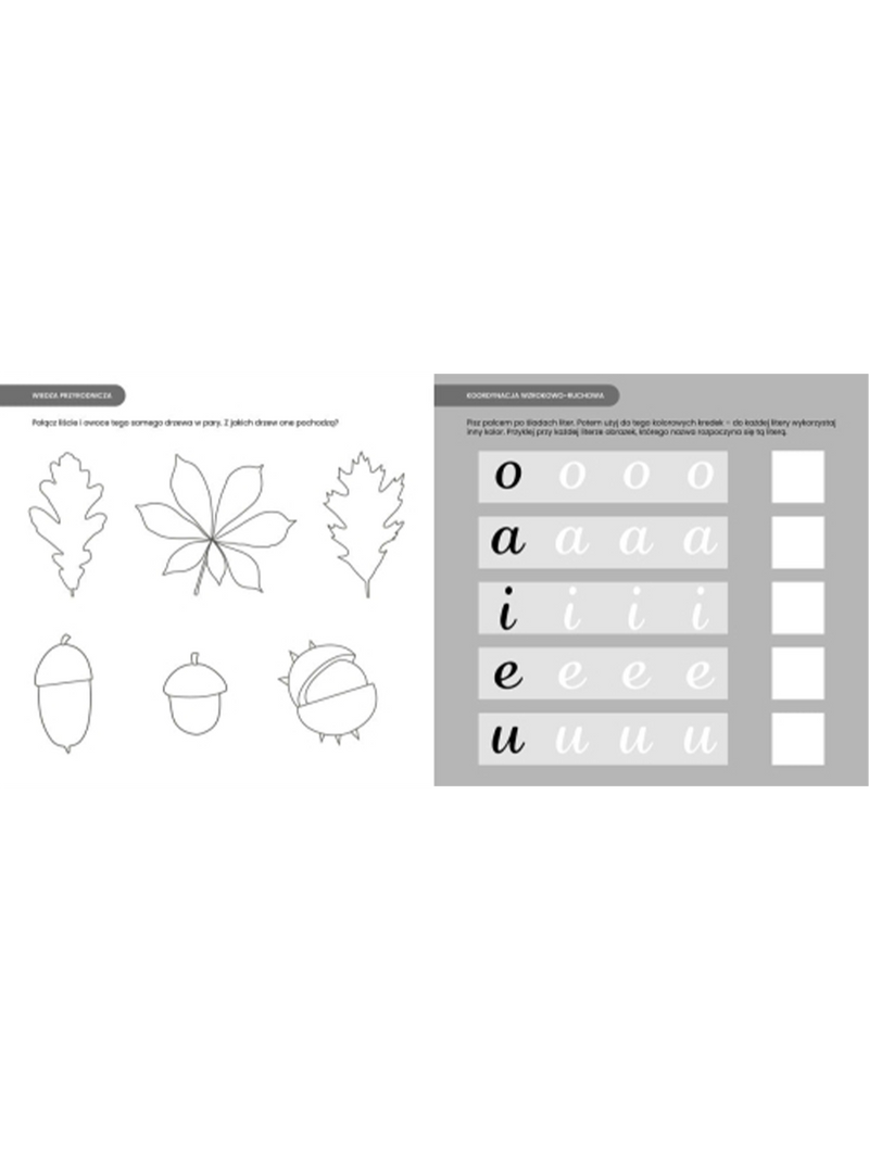 Montessori. Ćwiczenia czterolatka