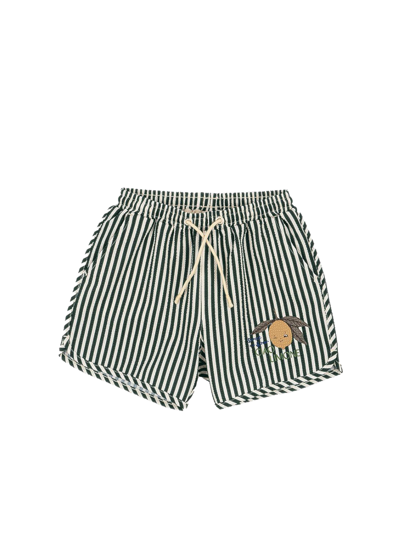 Seer asnou swimshorts grs