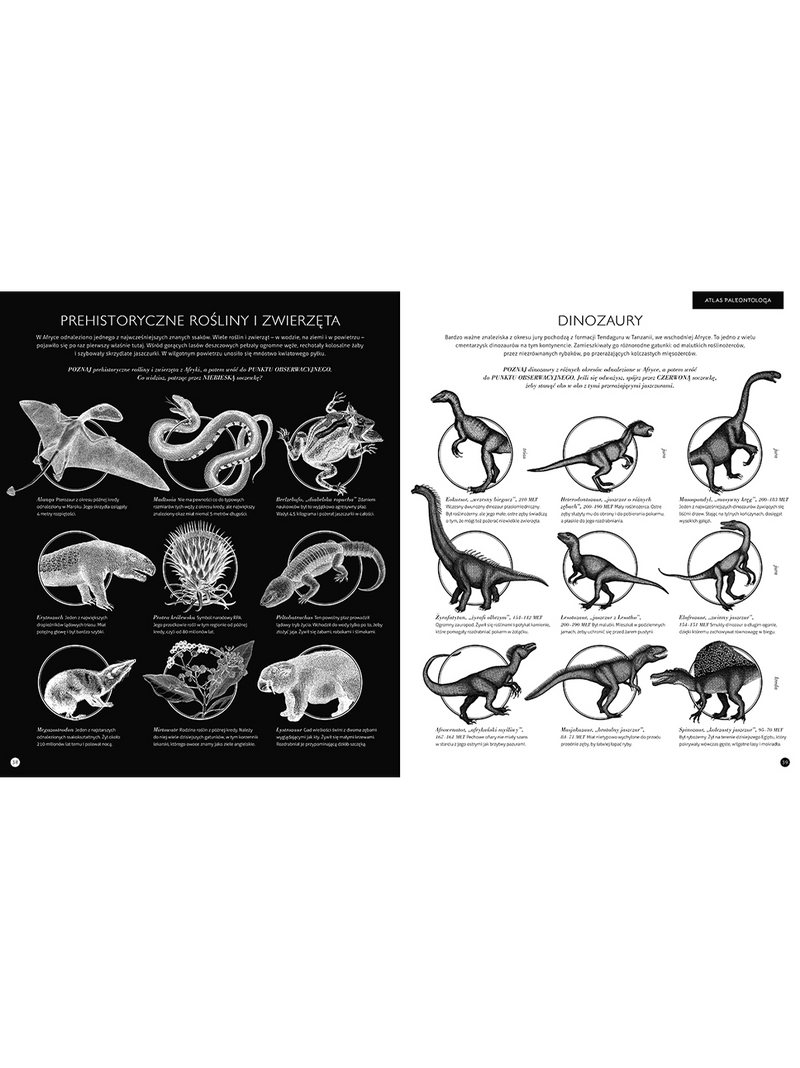 Gabinet dinozaurów