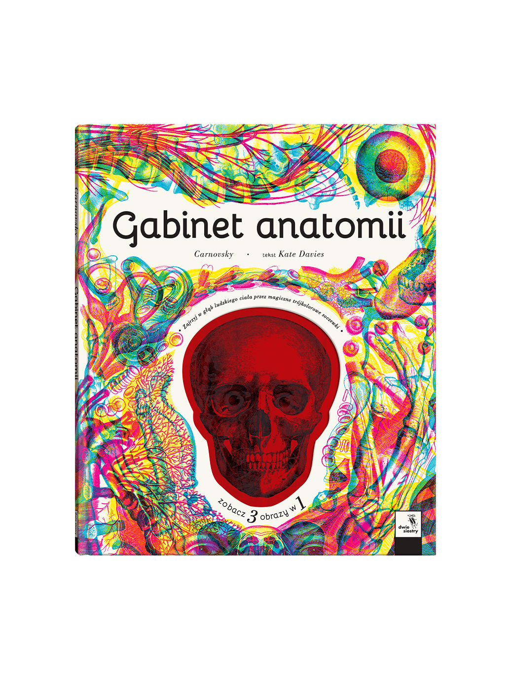 Gabinet anatomii