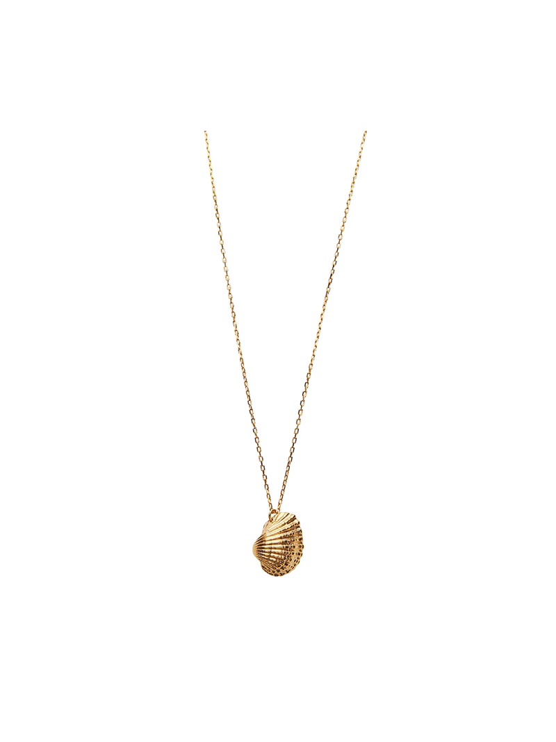 Naszyjnik Heart Shell Necklace