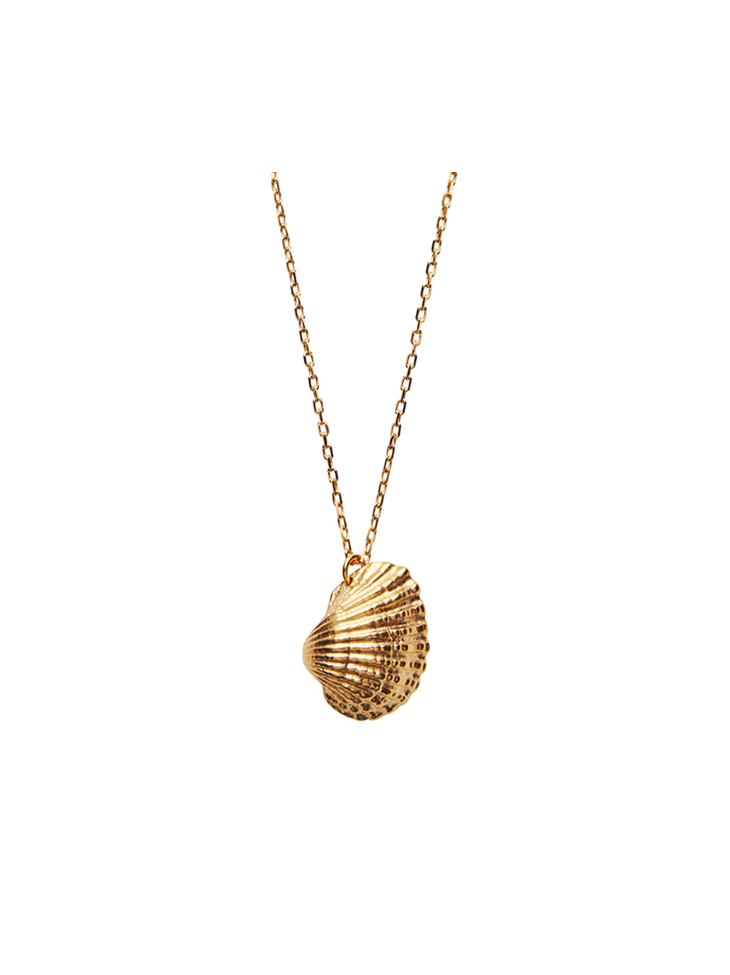 Naszyjnik Heart Shell Necklace