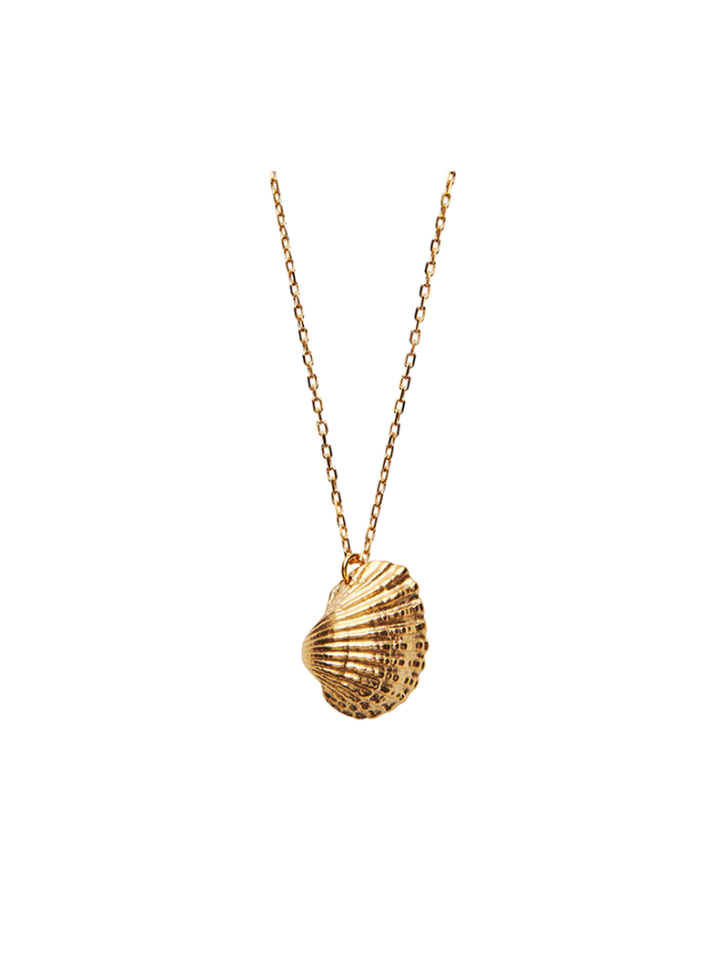 Naszyjnik Heart Shell Necklace