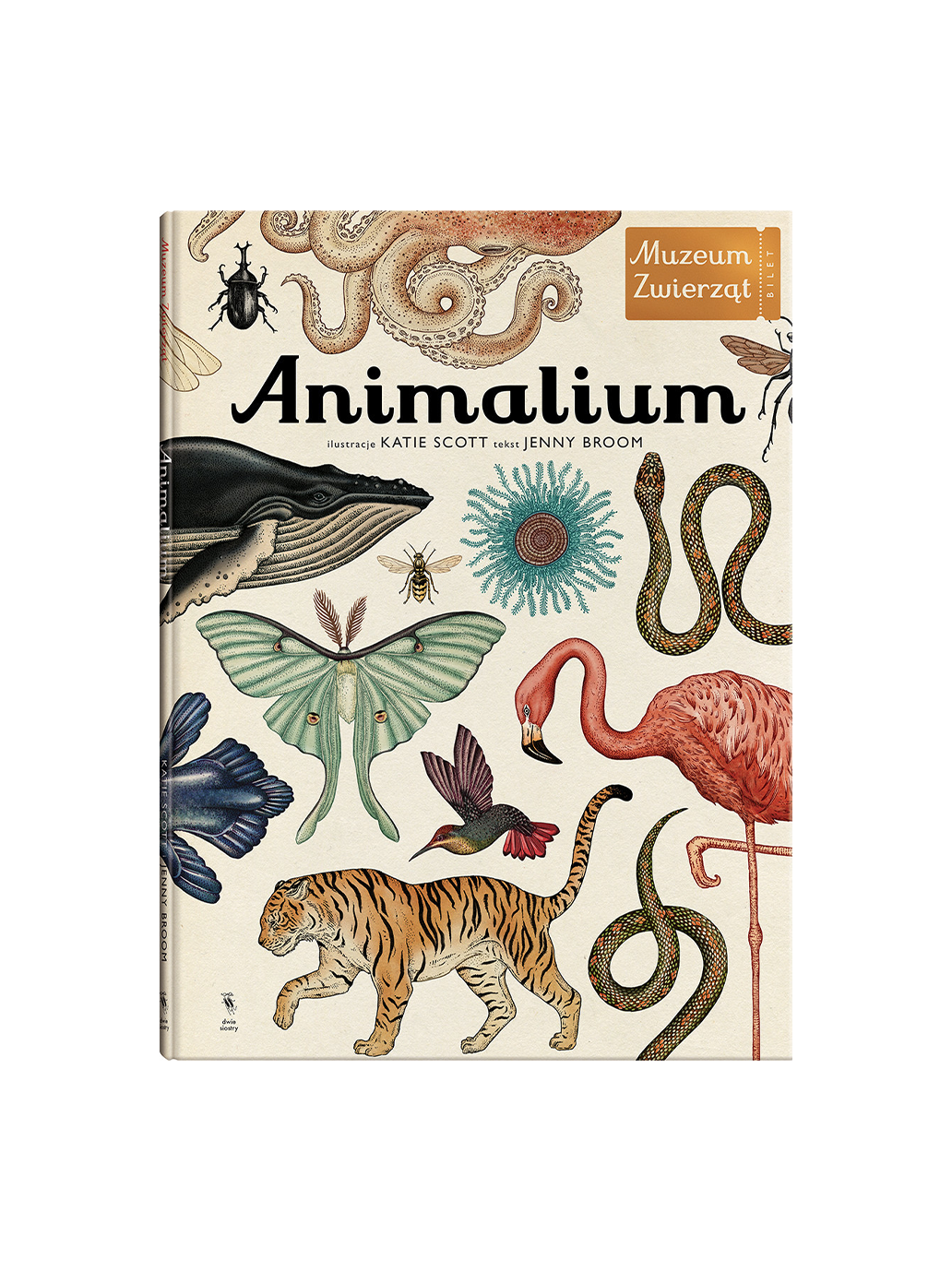 W Muzeum. Animalium