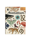 Animalium