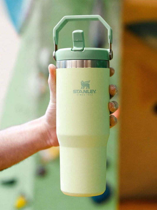 Стакан Stanley IceFlow Flip Straw Tumbler