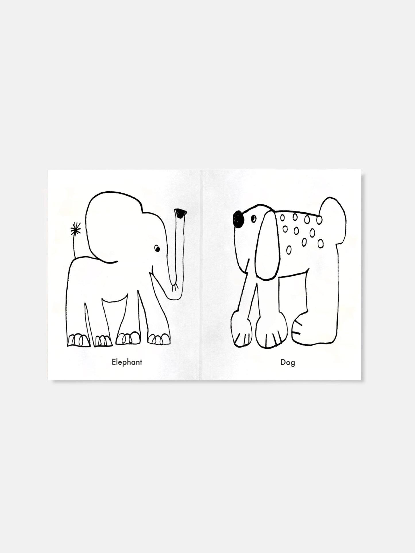 Kolorowanka Coloring Book AW24