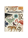 Animalium