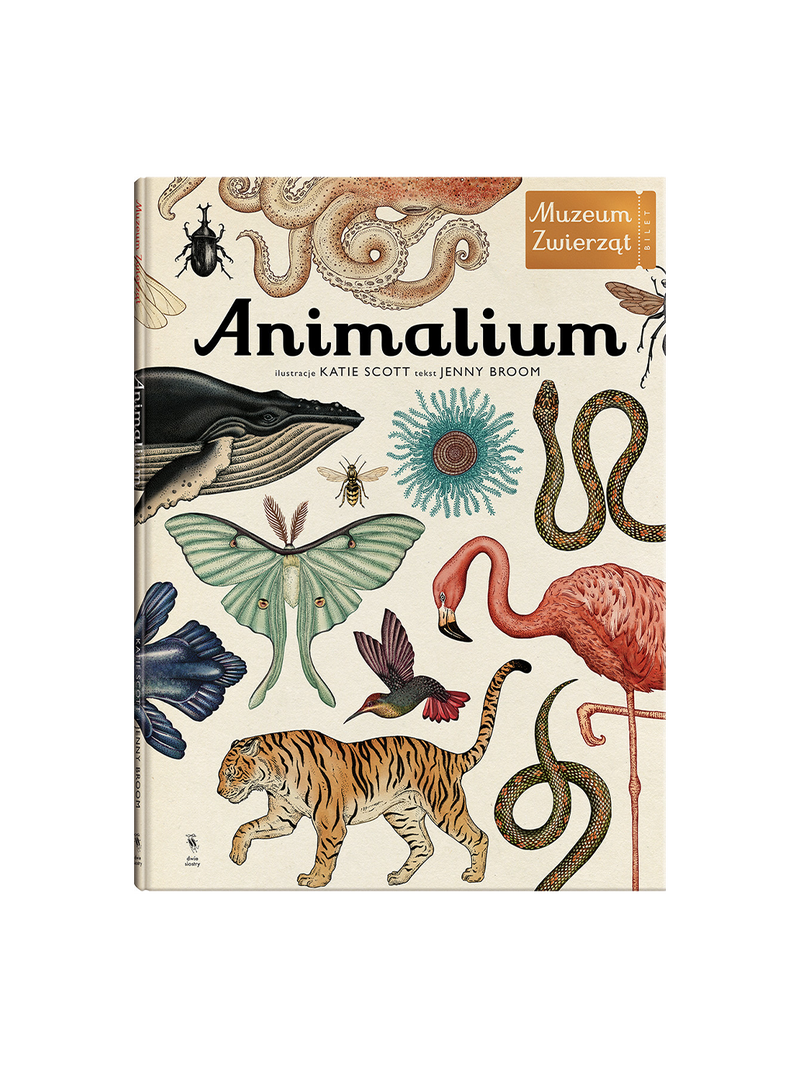 Animalium