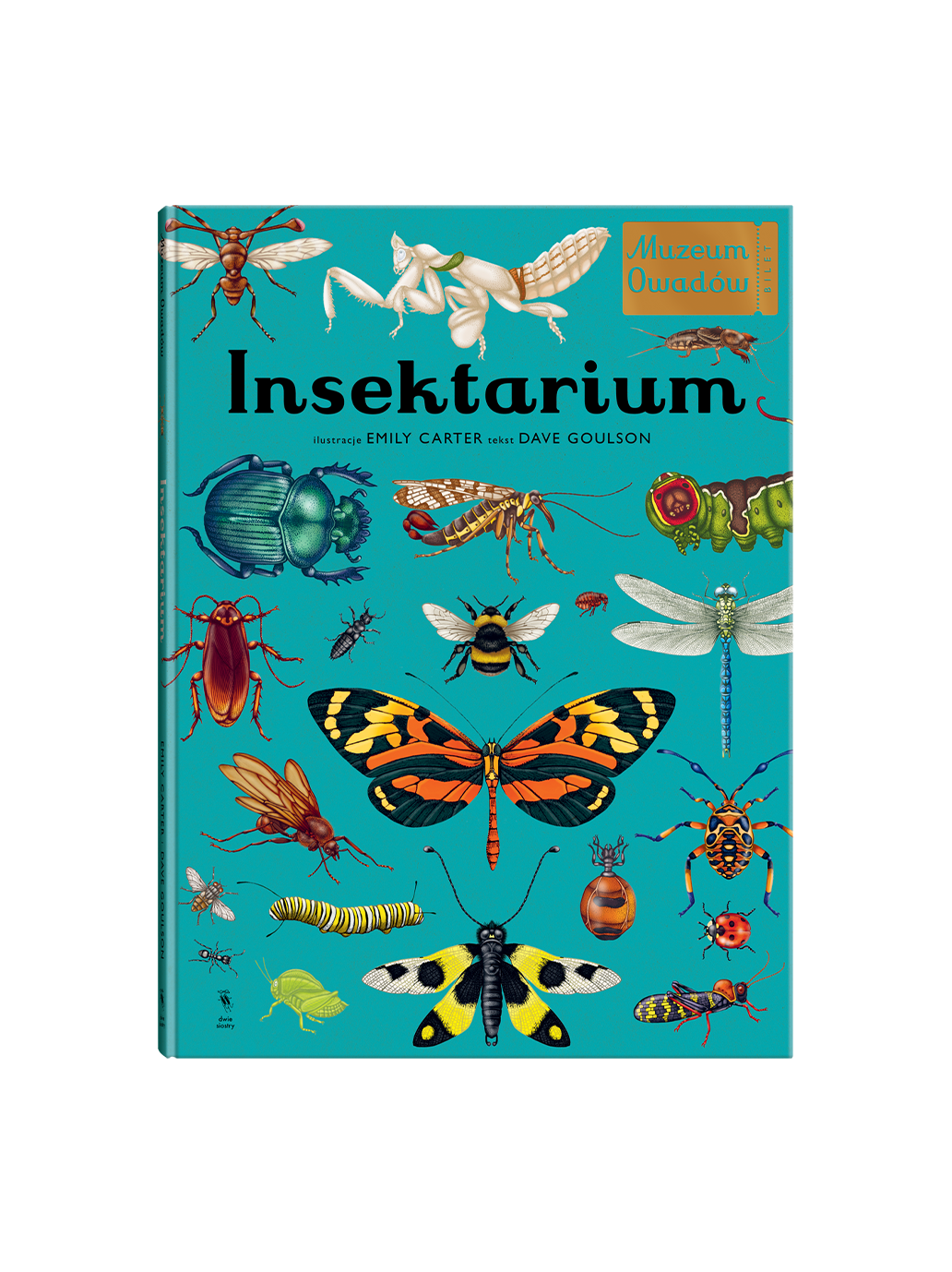 W Muzeum. Insektarium