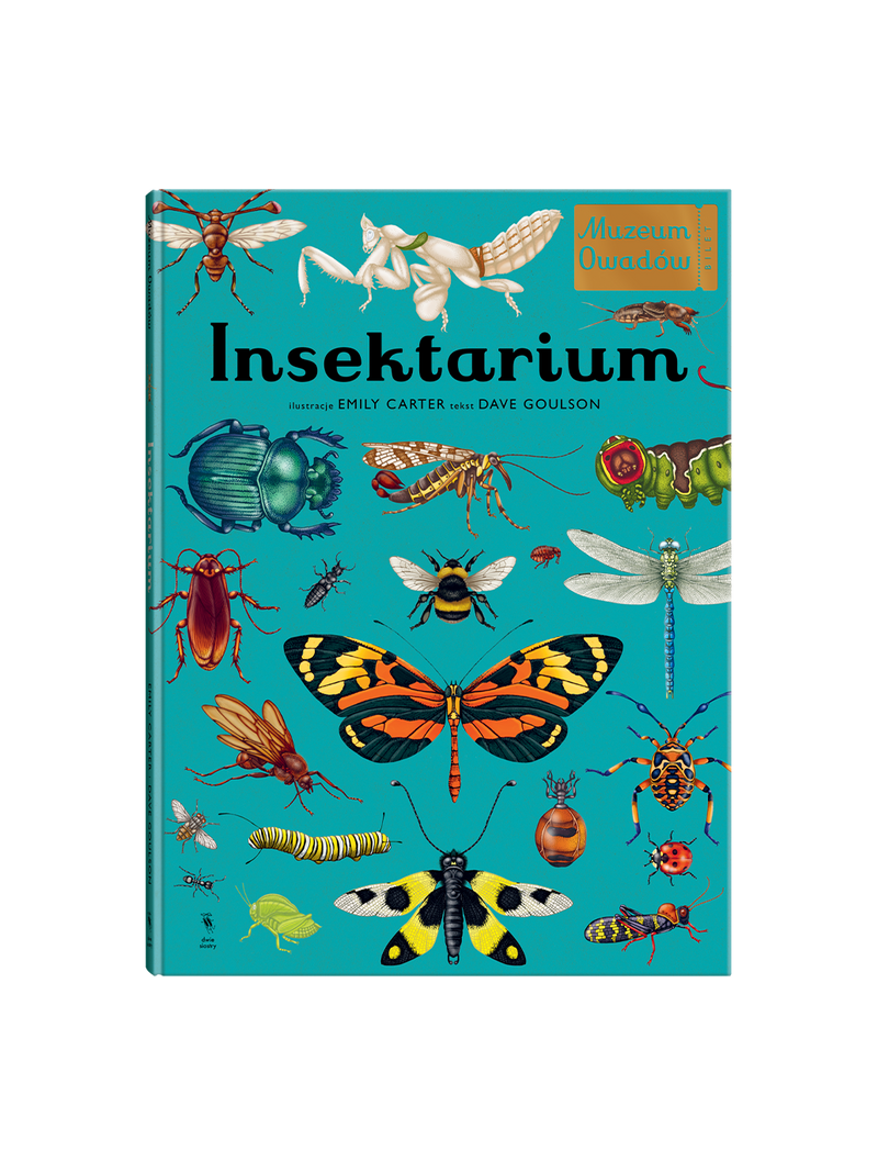 W Muzeum. Insektarium